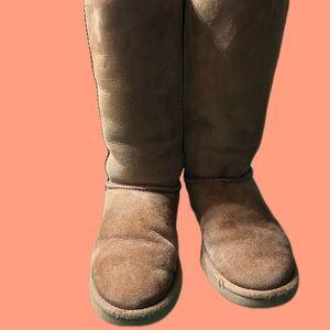 Classic Tall Ugg Boots- size 7!